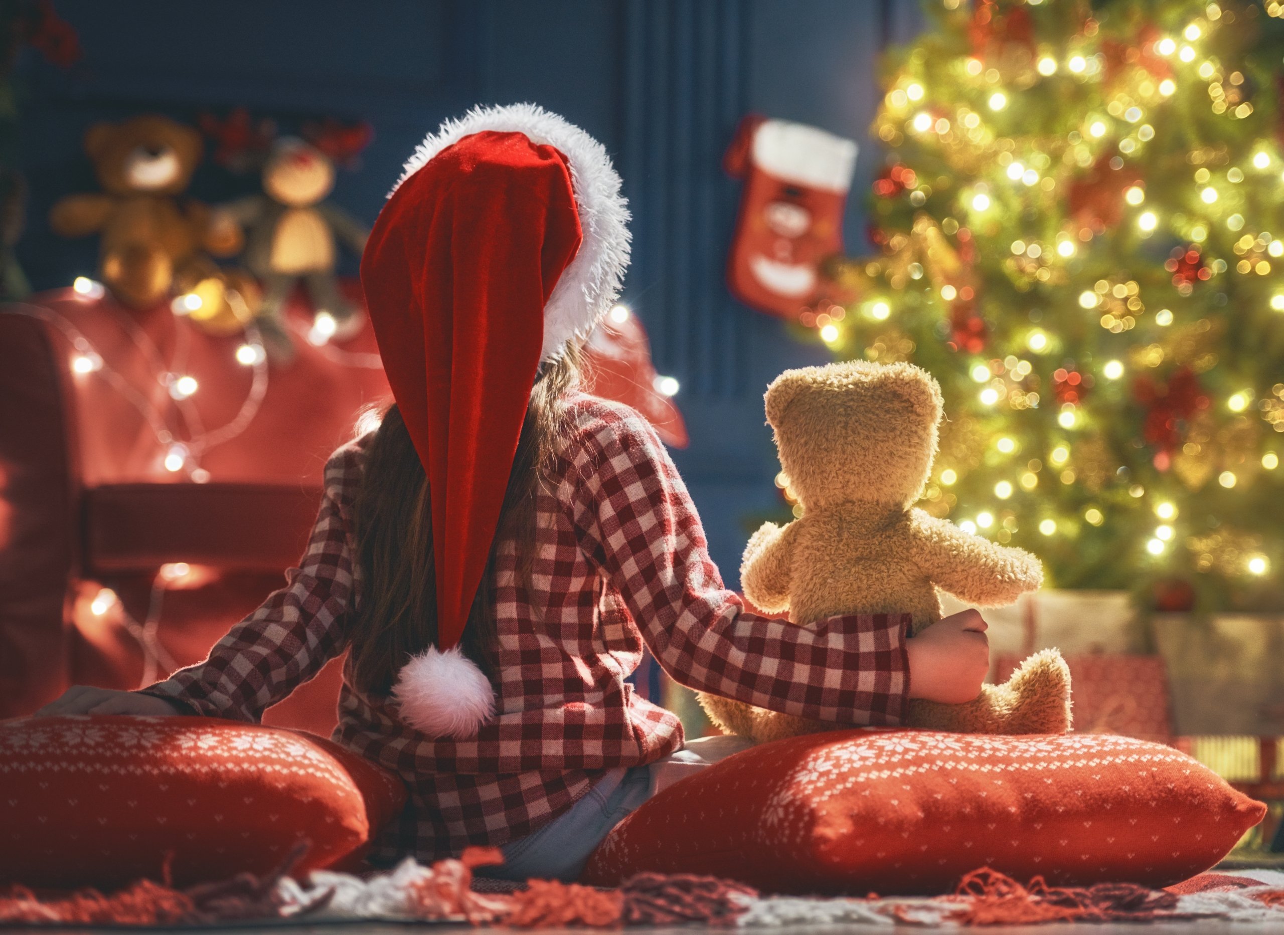 A child sitting in front of a lit Christmas tree holding a teddy bear.
